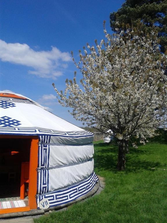 Yourte Nomade-Lodge Les Ecrennes Pokoj fotografie